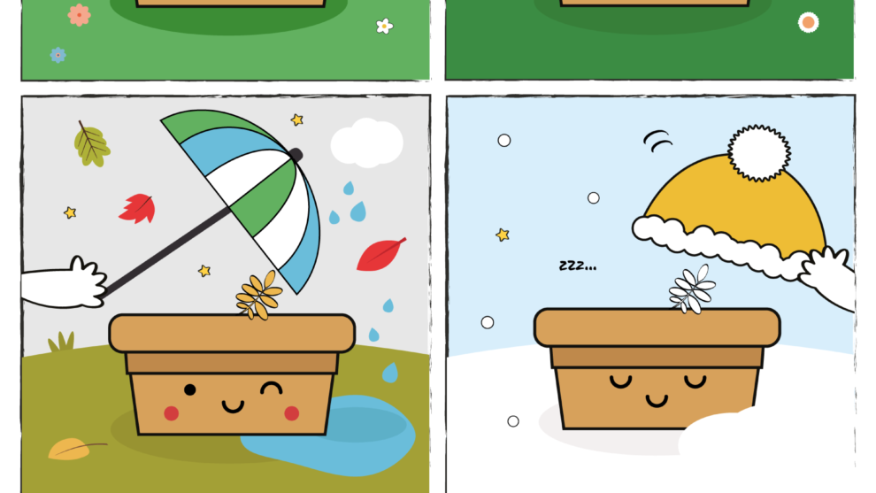 Komiks …<3 z Królikiem Fikołkiem